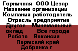 Горничная. ООО Цезар › Название организации ­ Компания-работодатель › Отрасль предприятия ­ Другое › Минимальный оклад ­ 1 - Все города Работа » Вакансии   . Пермский край,Добрянка г.